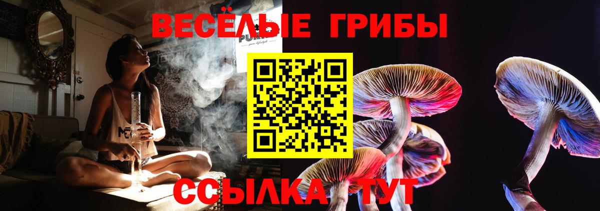 Псилоцибиновые грибы Magic Shrooms Тюмень